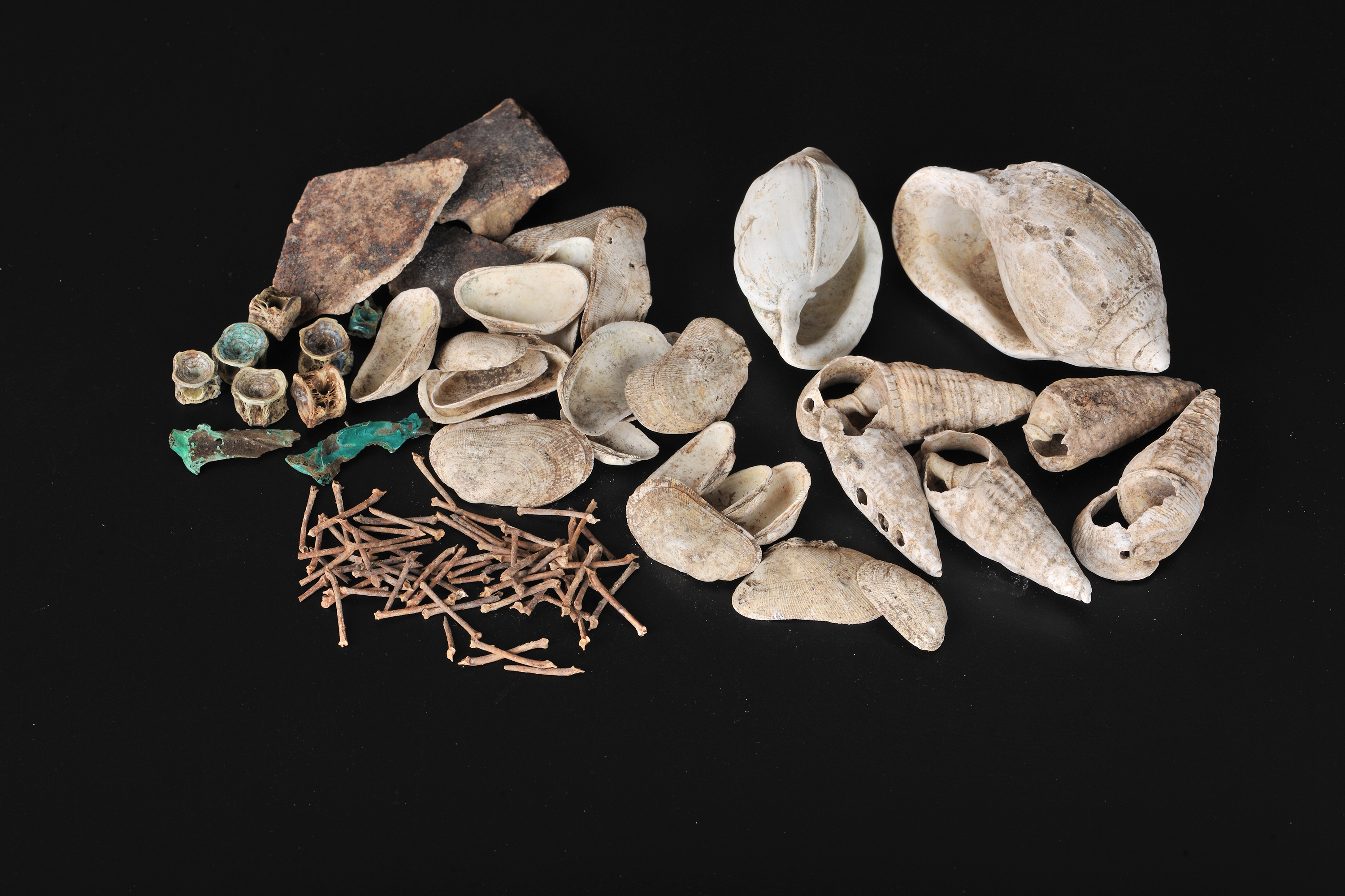 1668412280446917.jpg 1668412280446917.jpg