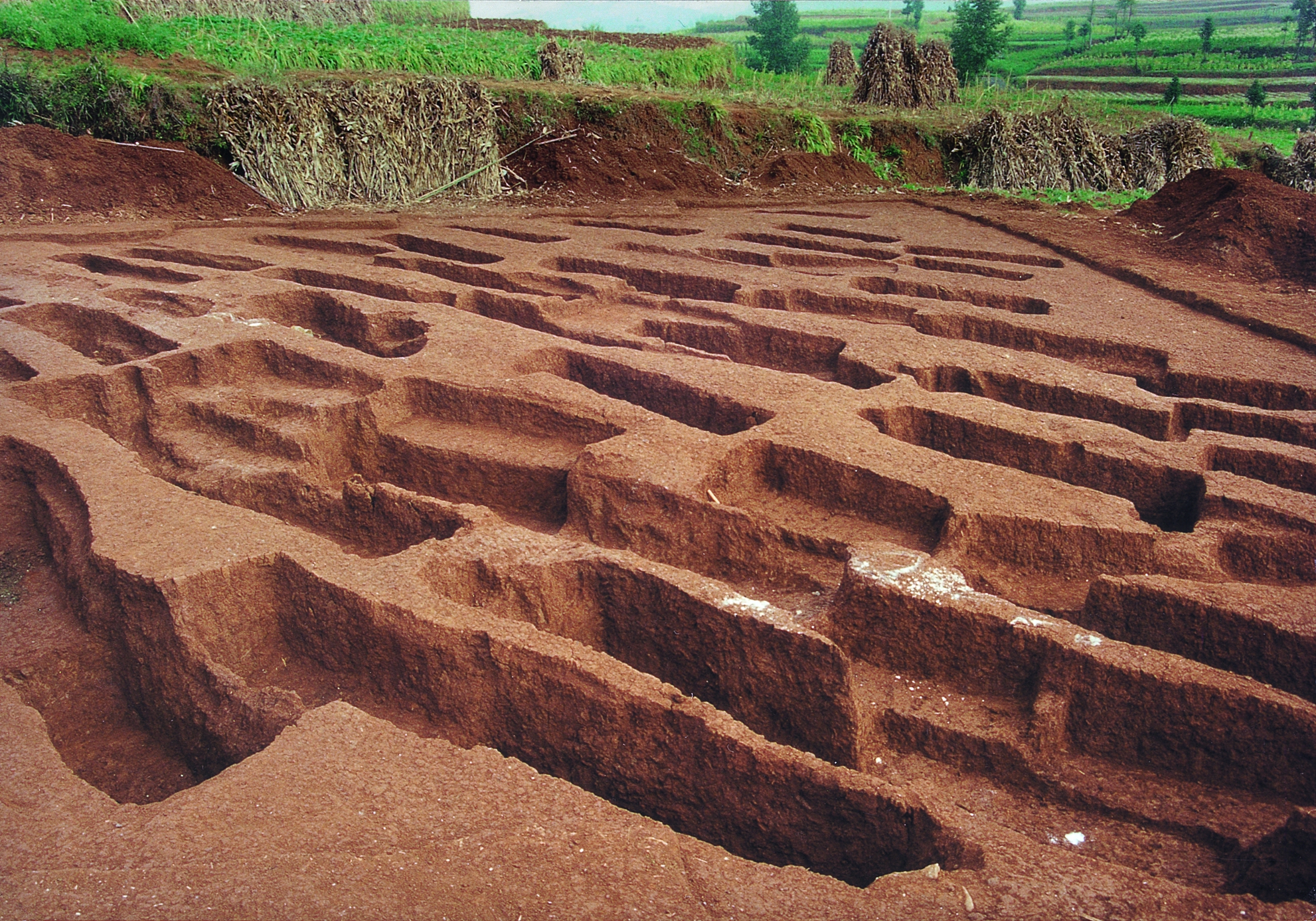 图 2 赫章可乐遗址墓葬图_副本.jpg