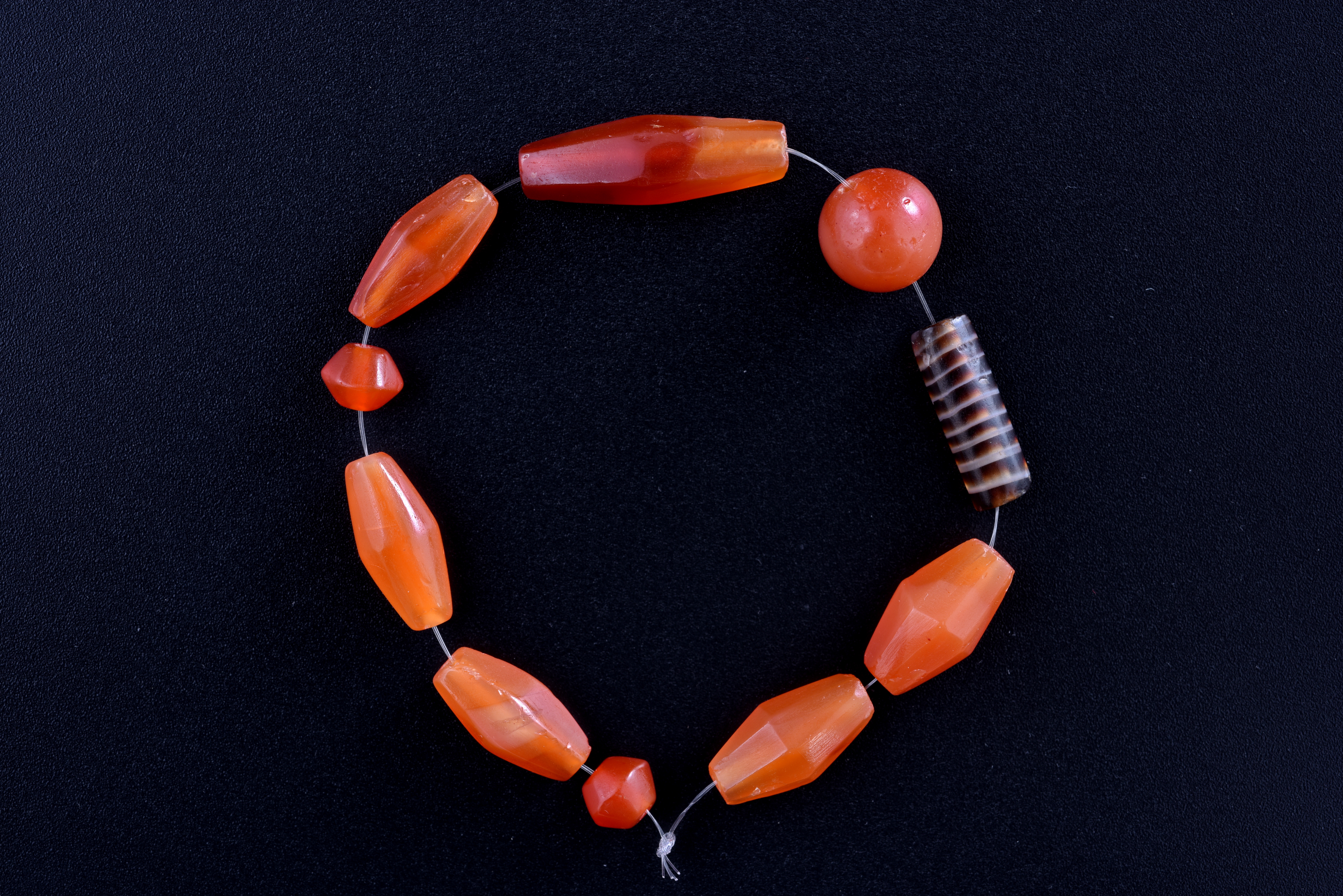 1673855196754394.jpg 1673855196754394.jpg