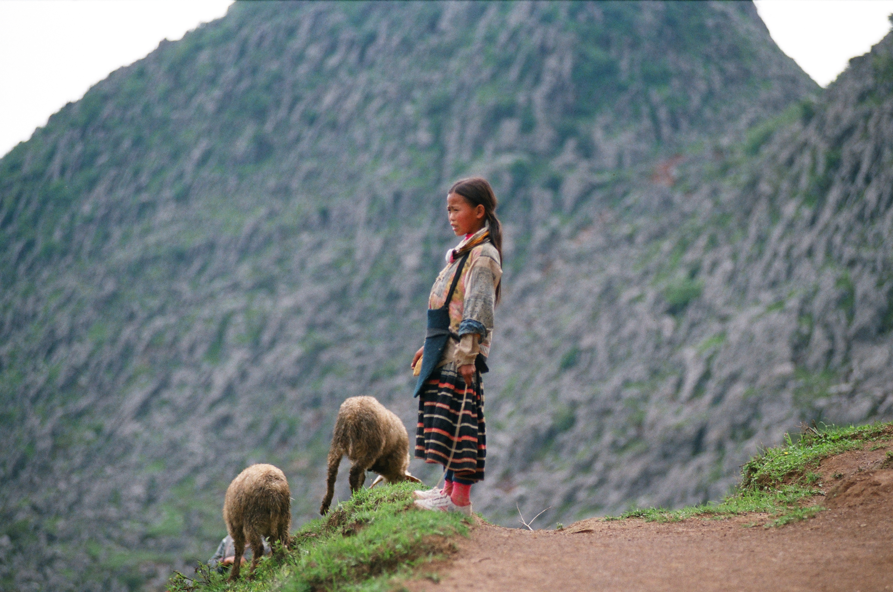 1678436648713674.jpg 1678436648713674.jpg