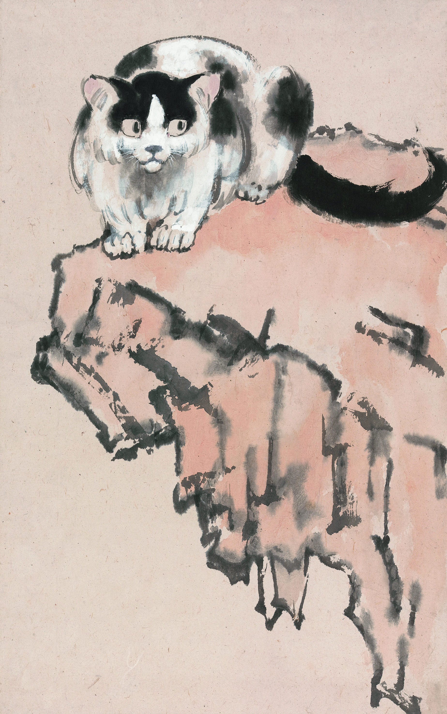 1692841394210886.jpg 1692841394210886.jpg