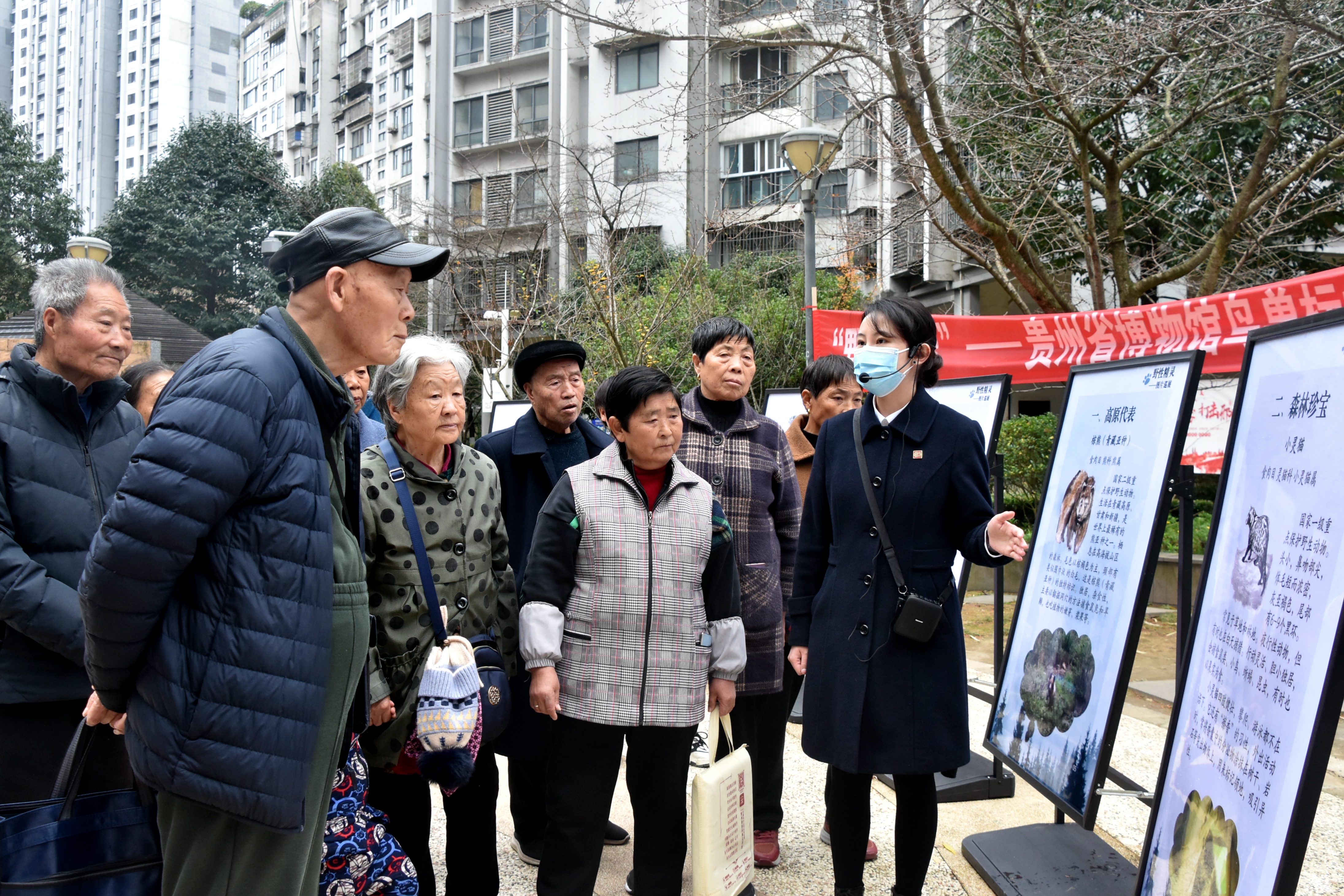 1703753189602575.jpg 1703753189602575.jpg