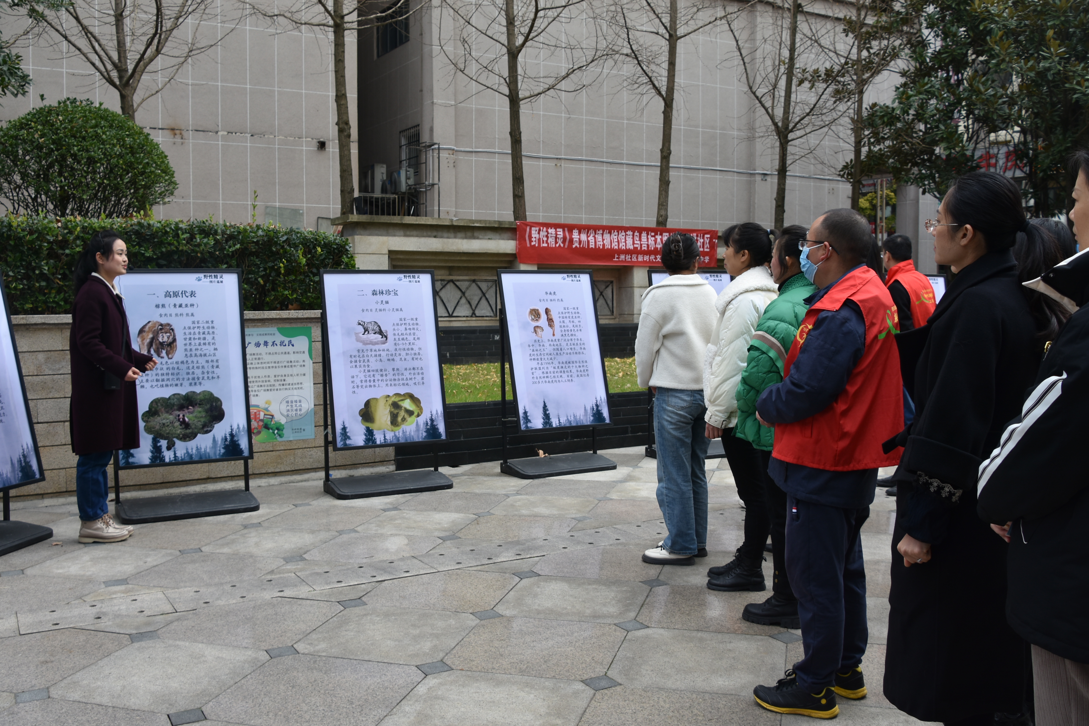 1703753426243127.jpg 1703753426243127.jpg