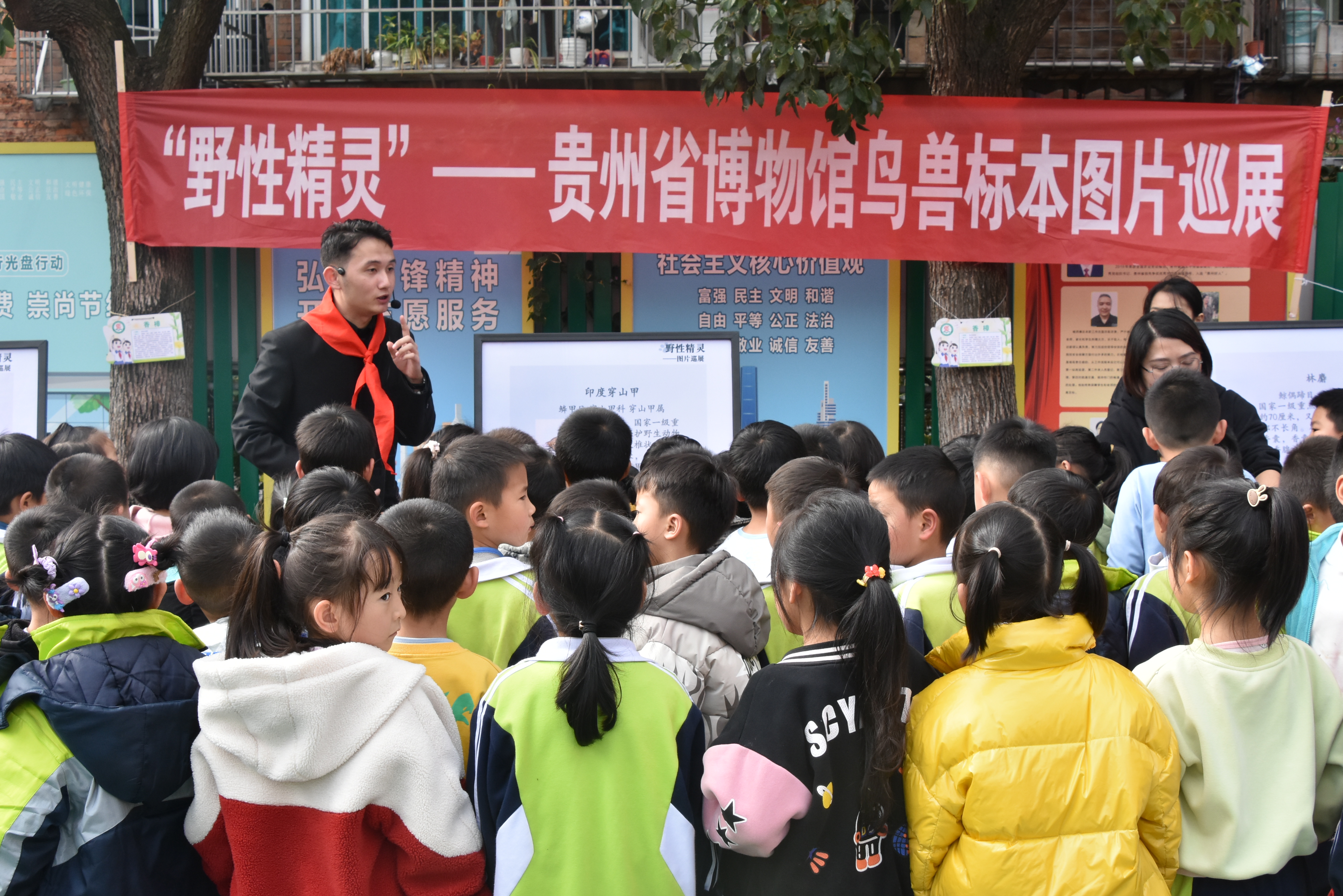 1703813081926601.jpg 1703813081926601.jpg