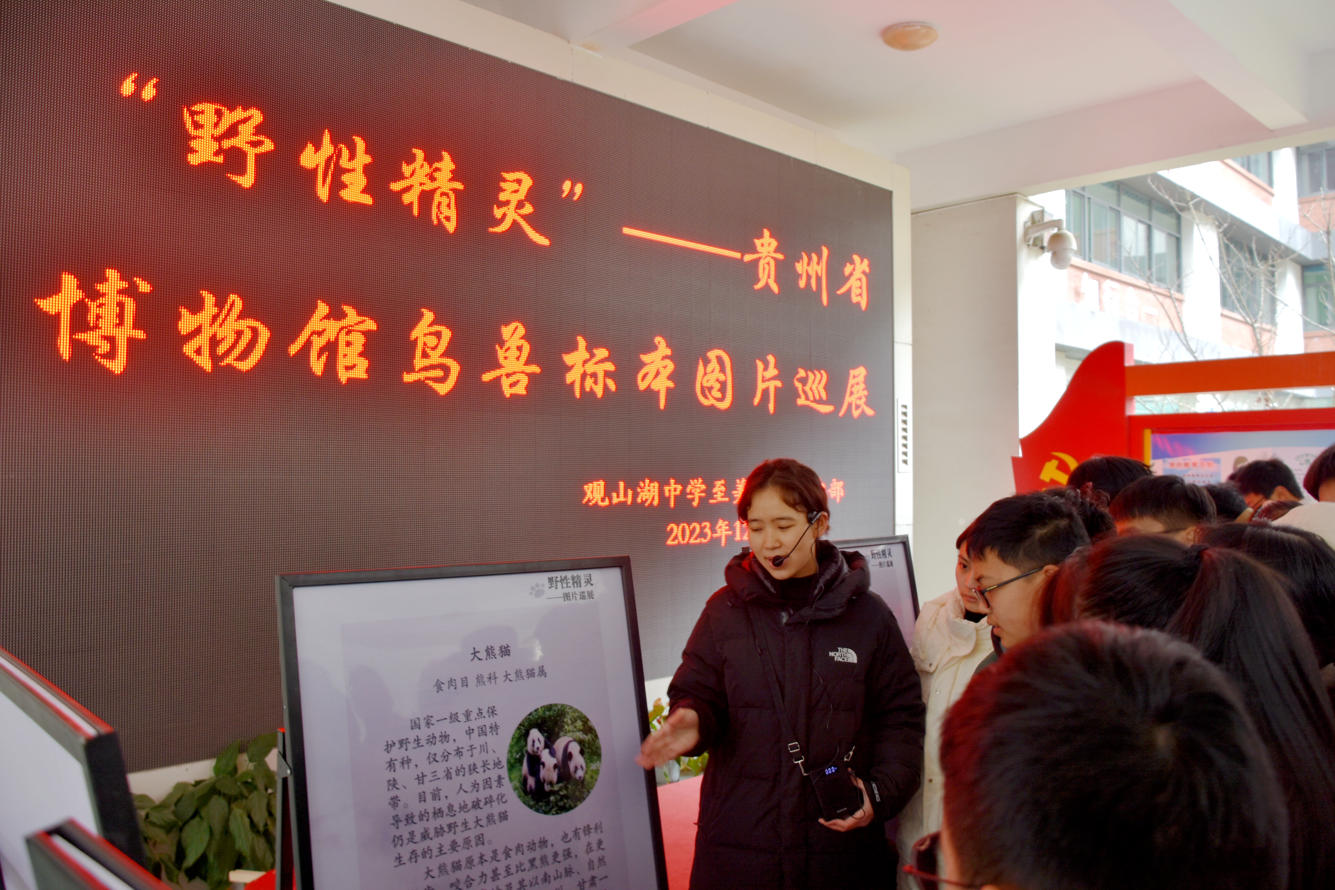 1703813470371563.jpg 1703813470371563.jpg